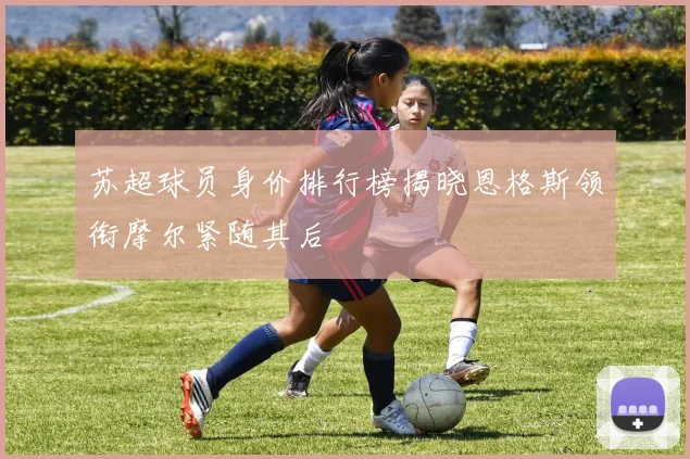 苏超球员身价排行榜揭晓恩格斯领衔摩尔紧随其后